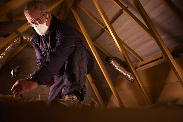 Types of Insulation We Offer in Chino Valley, AZ